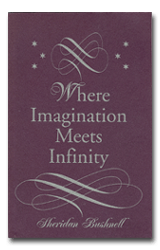 Where Imagination Meets Infinity by Sheridan Bushnell